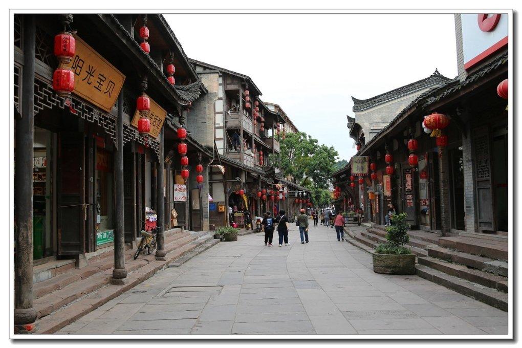 新春赏“梅”景！170多盆“大师级”盆景一次看过瘾
